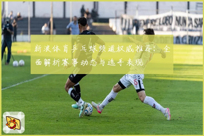 新浪体育乒乓球频道权威推荐:全面解析赛事动态与选手表现