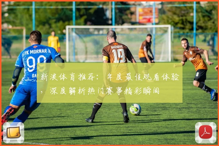 新浪体育推荐:年度最佳观看体验,深度解析热门赛事精彩瞬间