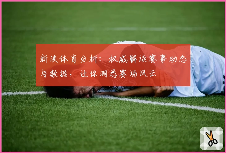 新浪体育分析：权威解读赛事动态与数据，让你洞悉赛场风云