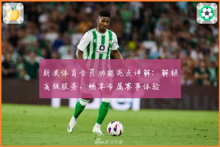新浪体育会员功能亮点详解：解锁高级服务，畅享专属赛事体验