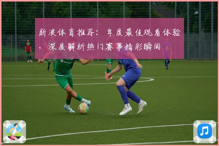 新浪体育推荐：年度最佳观看体验，深度解析热门赛事精彩瞬间