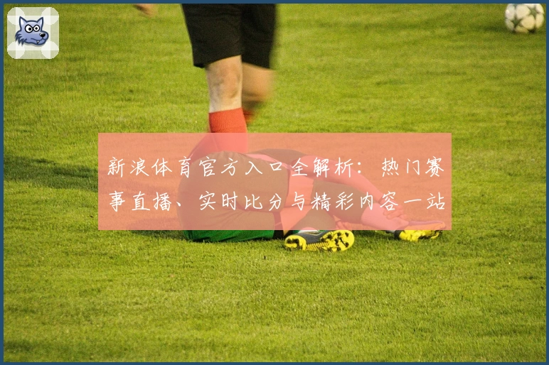 新浪体育官方入口全解析:热门赛事直播、实时比分与精彩内容一站式体验