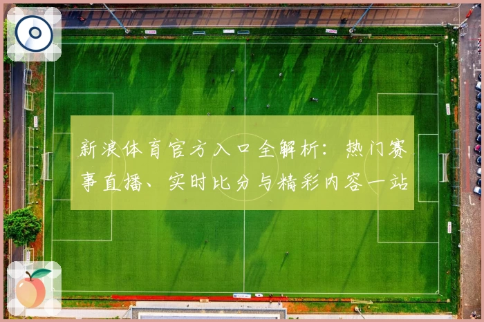 新浪体育官方入口全解析：热门赛事直播、实时比分与精彩内容一站式体验