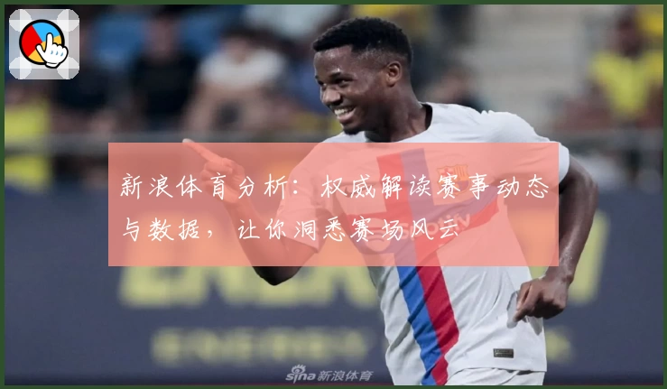 新浪体育分析：权威解读赛事动态与数据，让你洞悉赛场风云