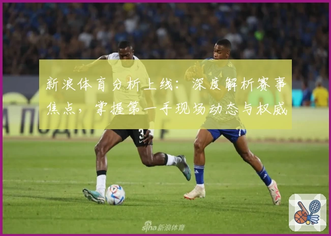 新浪体育分析上线：深度解析赛事焦点，掌握第一手现场动态与权威解读