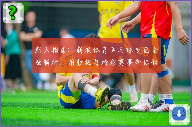 新人指南:新浪体育乒乓球专区全面解析,用数据与精彩赛事带你领略国球魅力