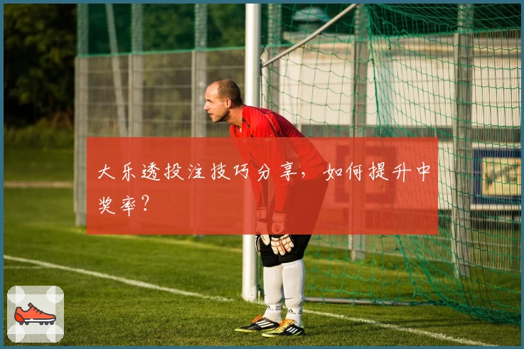 大乐透投注技巧分享，如何提升中奖率？