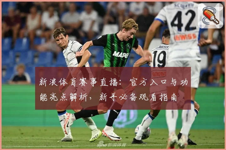 新浪体育赛事直播：官方入口与功能亮点解析，新手必备观看指南
