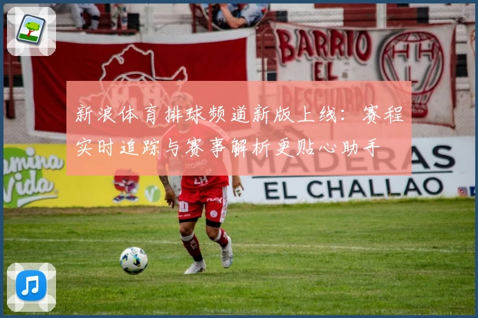 新浪体育排球频道新版上线：赛程实时追踪与赛事解析更贴心助手