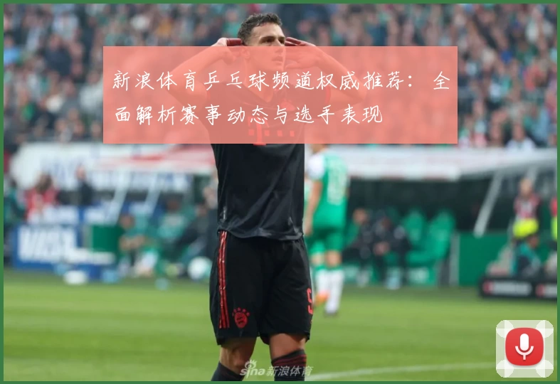 新浪体育乒乓球频道权威推荐:全面解析赛事动态与选手表现