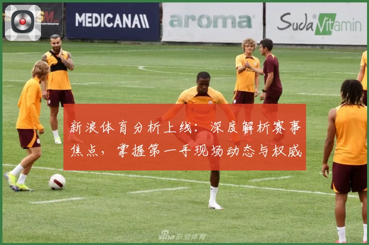 新浪体育分析上线：深度解析赛事焦点，掌握第一手现场动态与权威解读