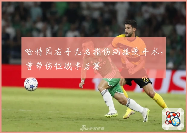 哈特因右手无名指伤病接受手术,曾带伤征战季后赛