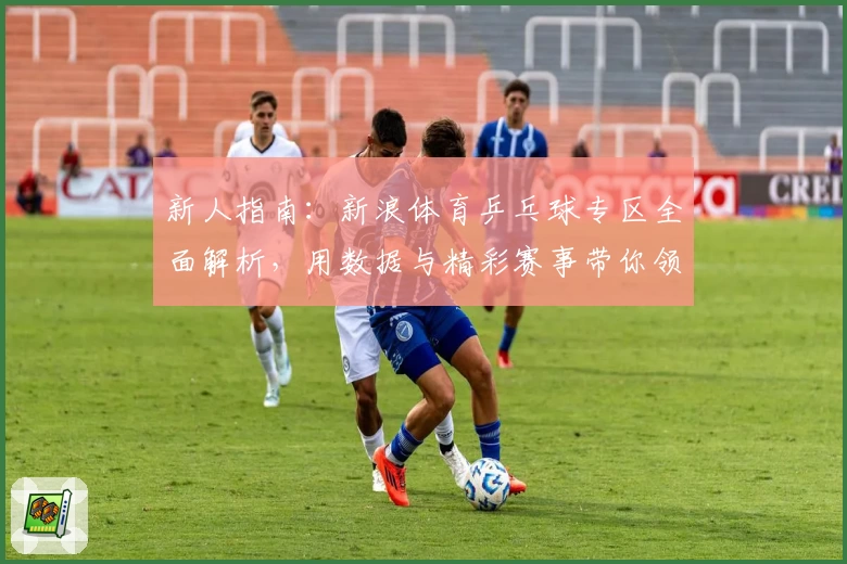 新人指南：新浪体育乒乓球专区全面解析，用数据与精彩赛事带你领略国球魅力