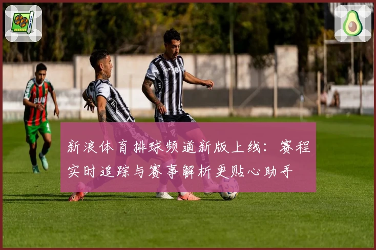 新浪体育排球频道新版上线：赛程实时追踪与赛事解析更贴心助手
