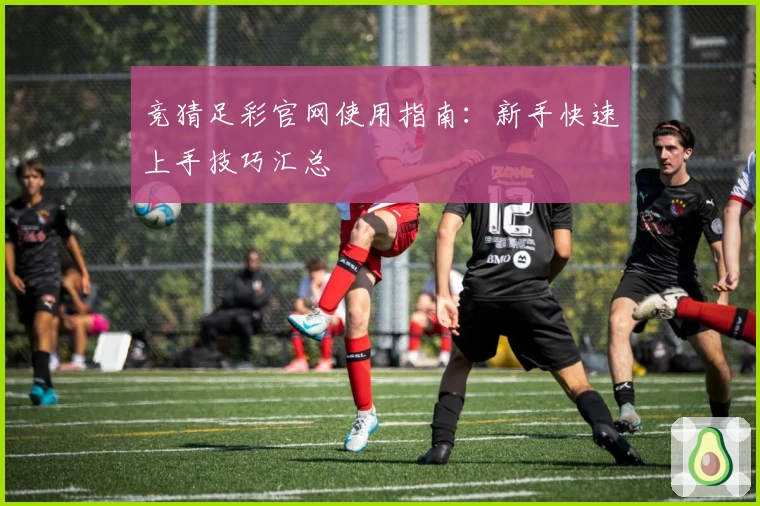 竞猜足彩官网使用指南：新手快速上手技巧汇总