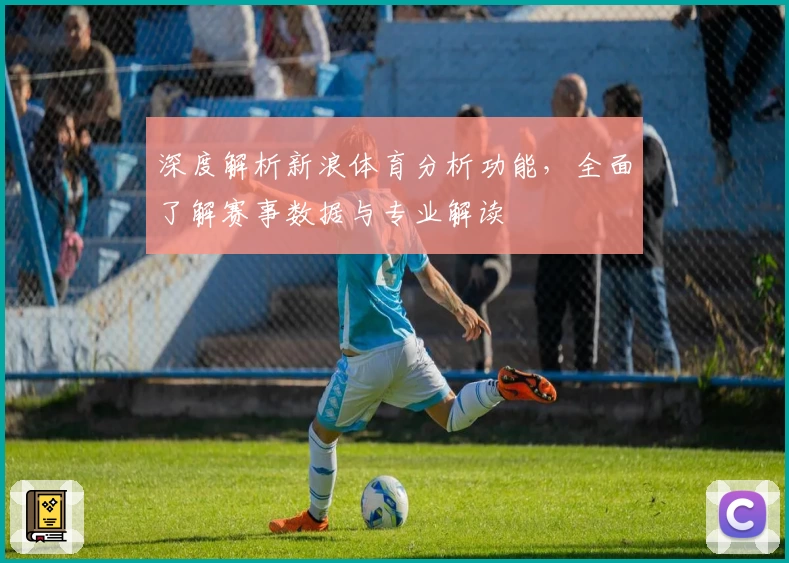 深度解析新浪体育分析功能，全面了解赛事数据与专业解读